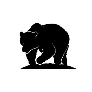 Bear, mountain, wild, forest, nature, grizzly, black, animal, attack, danger,