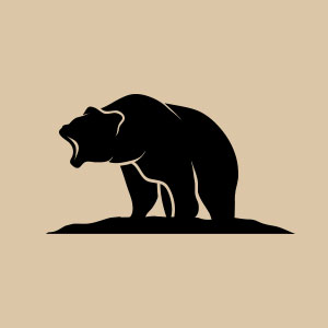 bear, mountain, wild, animal, forest, nature, grizzly, roar, paw, claws,