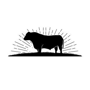 bull, cattle, farm, animal, domestic, meat, butcher, knife, organic,