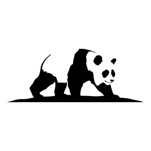 panda, black, white, bear, china, rice, bamboo, organic, illustration, drawing, east,