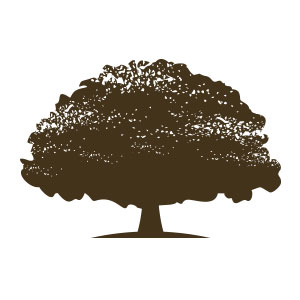 Retro tree nature forest logo vector