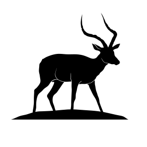 An elegant impala gazelle vector logo, symbolizing grace and agility.