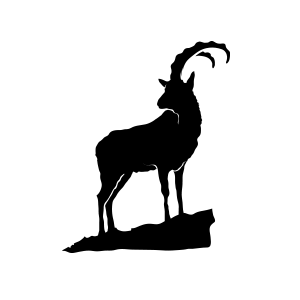A majestic mountain goat in a vector logo, representing strength and resilience