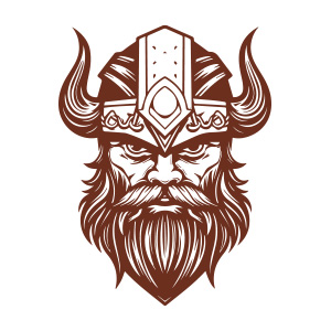 A fierce and intimidating Viking head logo, representing power and ferocity.