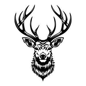 A stunning trophy antlers deer logo, showcasing elegance and achievement.