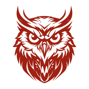 A mesmerizing symmetric owl logo, representing balance and harmony